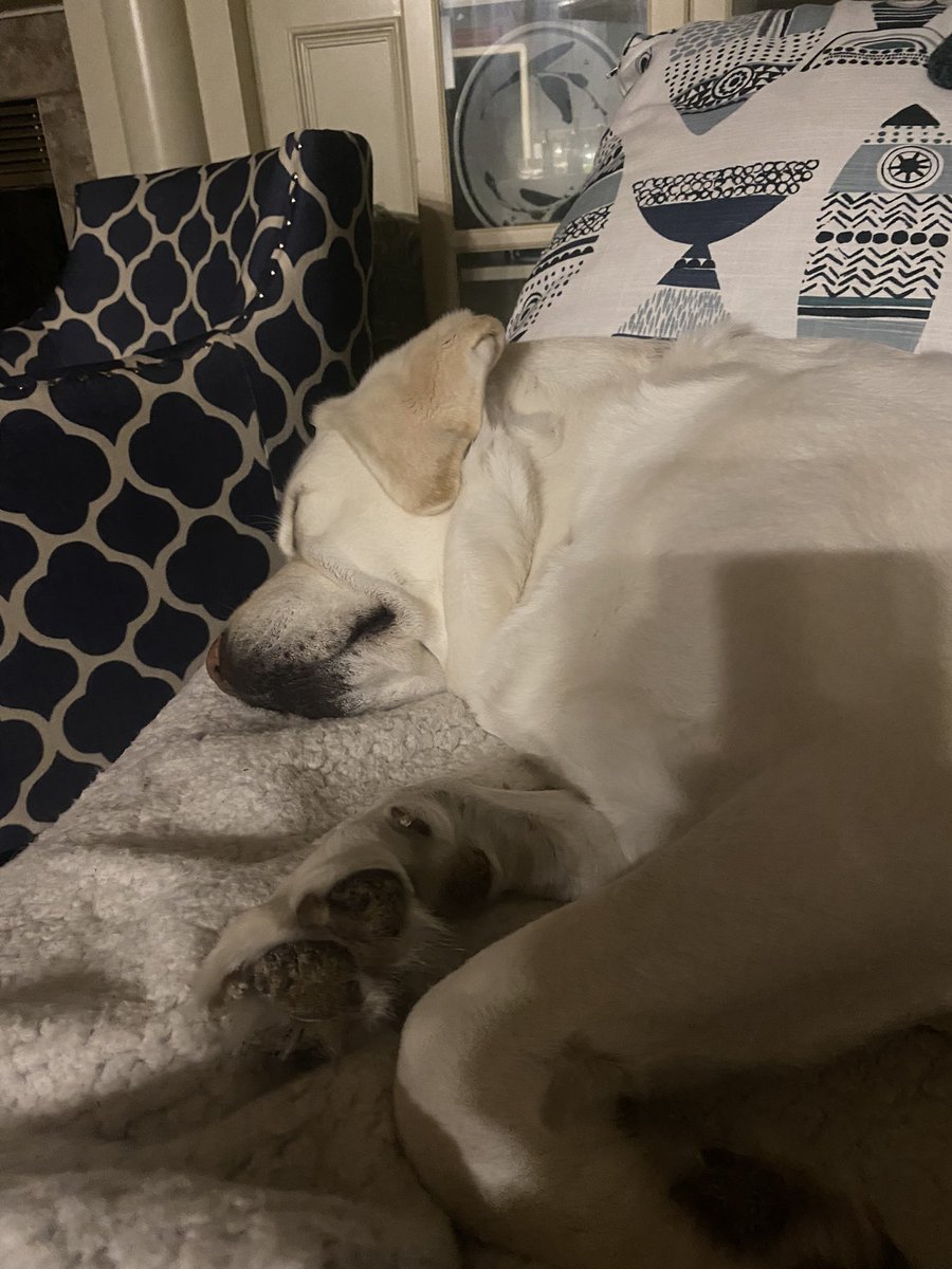 It was a big day of snowshoeing. A little cracked.