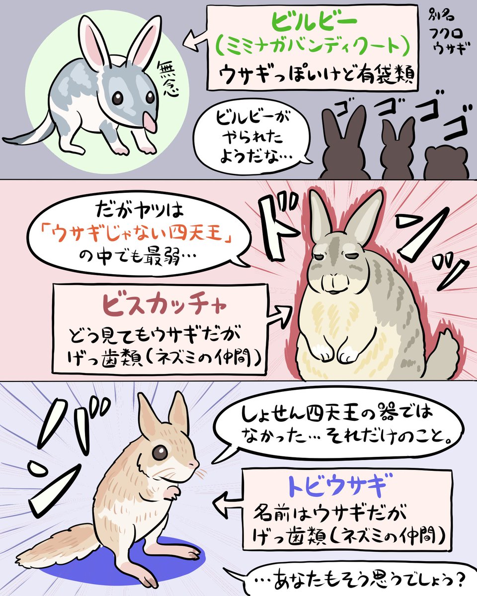 ウサギじゃない四天王 