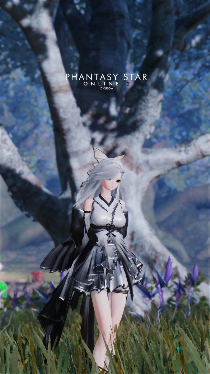 #pso2ngs #PSO2NGS_SS