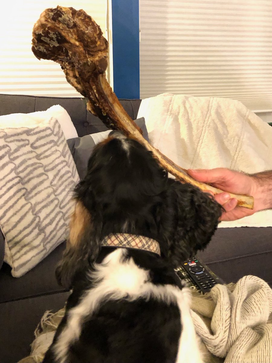 This is the bone of my dreams!