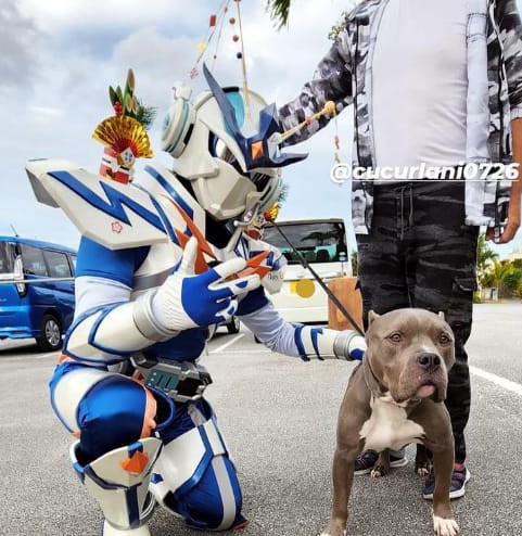 ヒーローに立ち向かうも手懐けられるジュニア