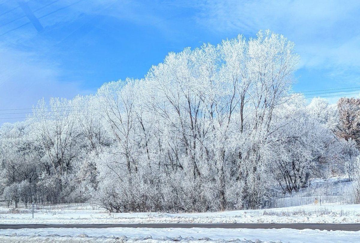 Life in a Northern Town...

#mnwinter #Minnesota #winterphoto #frost #wintertrees #hoarfrost #coldmorning #ilovewinter