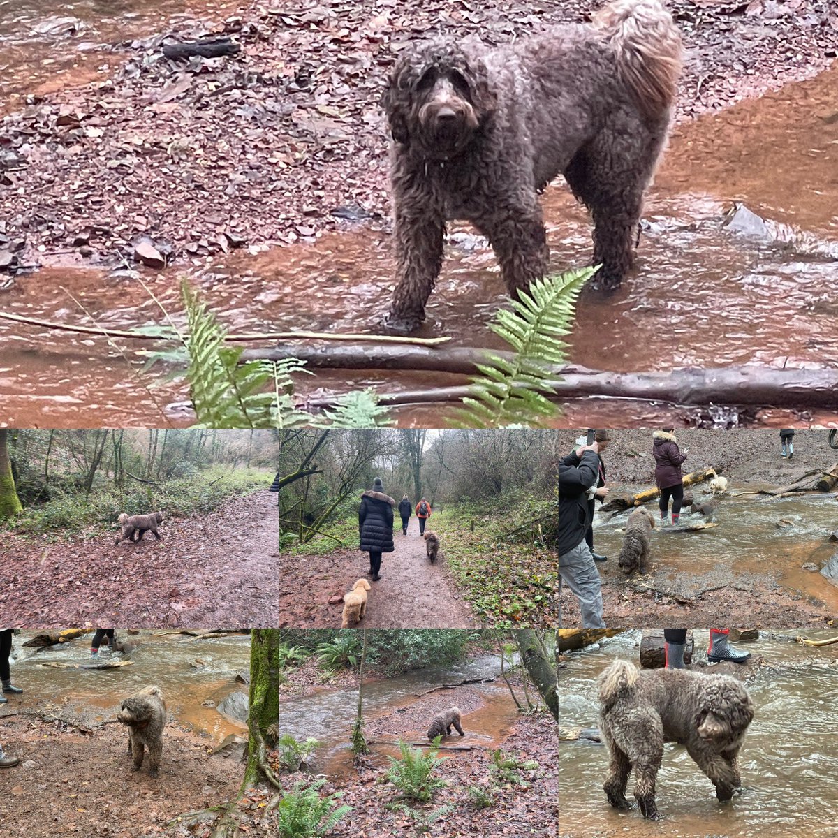 New Year’s Day with Reilly….