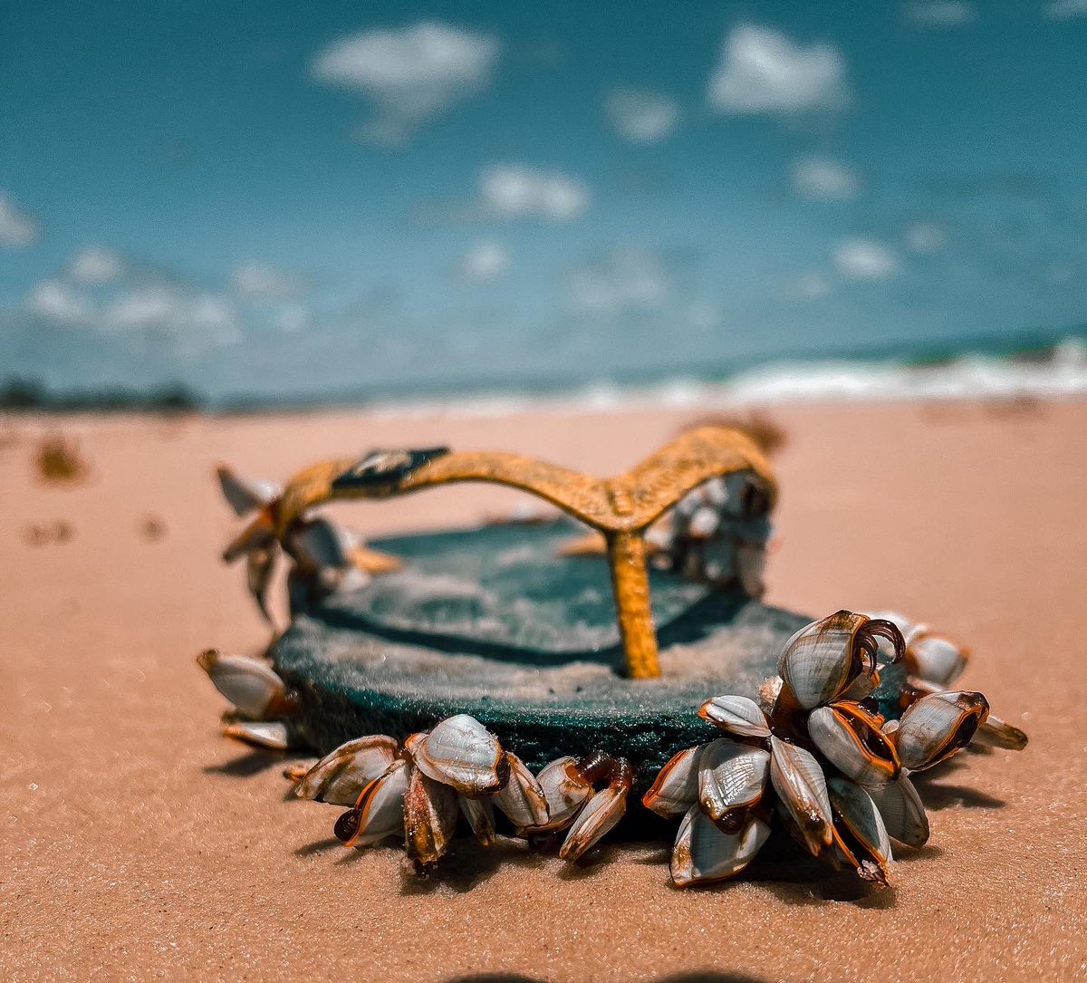 So who@ever reported my account for misuse; you failed. I’ve never posted anything that has been misaligned to Twitters rules &amp; regulations. Nice try. Oh and by the way, Twitter discloses who reported it so I actually know.
Happy New Year