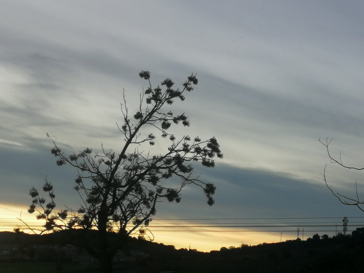 SunsetSnaps's tweet image. RT @IgFC86: 😊❤️🌄🎥Feliz lunes a 😊❤️🌄🎥 #visualeffectssociety #visualeffects #lovevideo #internetmarketing #filmsofinstagram #photography #sky #sunsetphotography #sunsetpics #sunset #amanecer #happymondays #felizlunesatodos