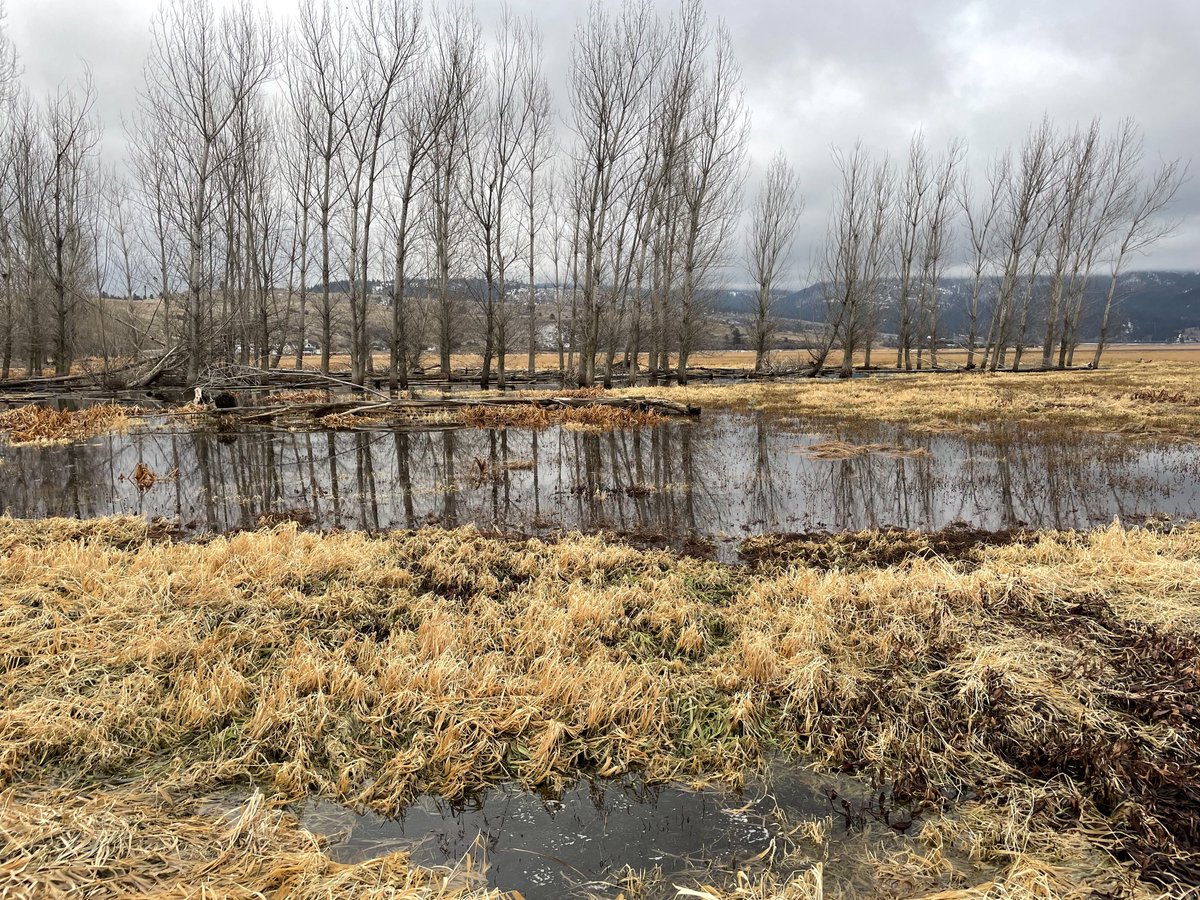 laddb's tweet photo. First hike of 2023, Saltese Uplands and Saltese Flats https://t.co/PZAGY5oXIz