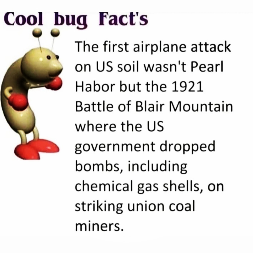 Zeronelite's tweet photo. i love cool bug facts https://t.co/TUoUZqcmEl