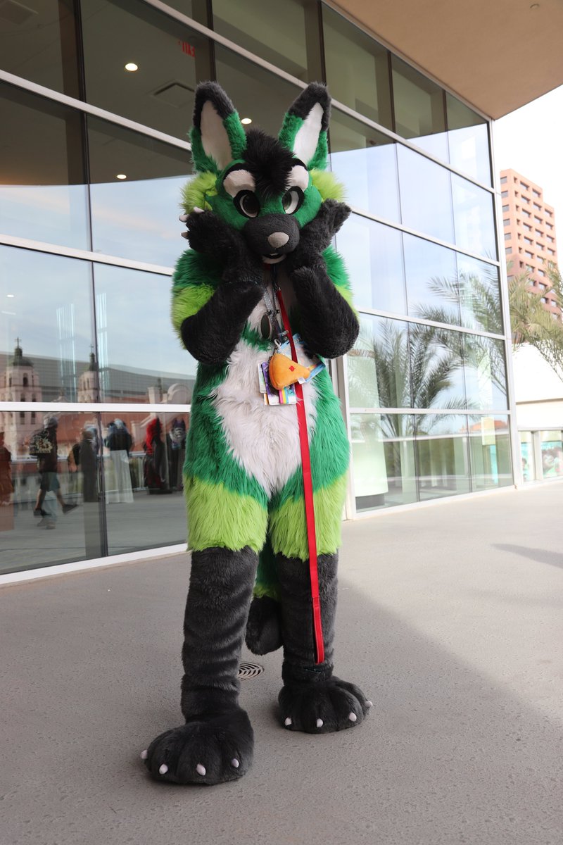 Hiro_Yuuy's tweet image. #pdfc2023 #PDFC