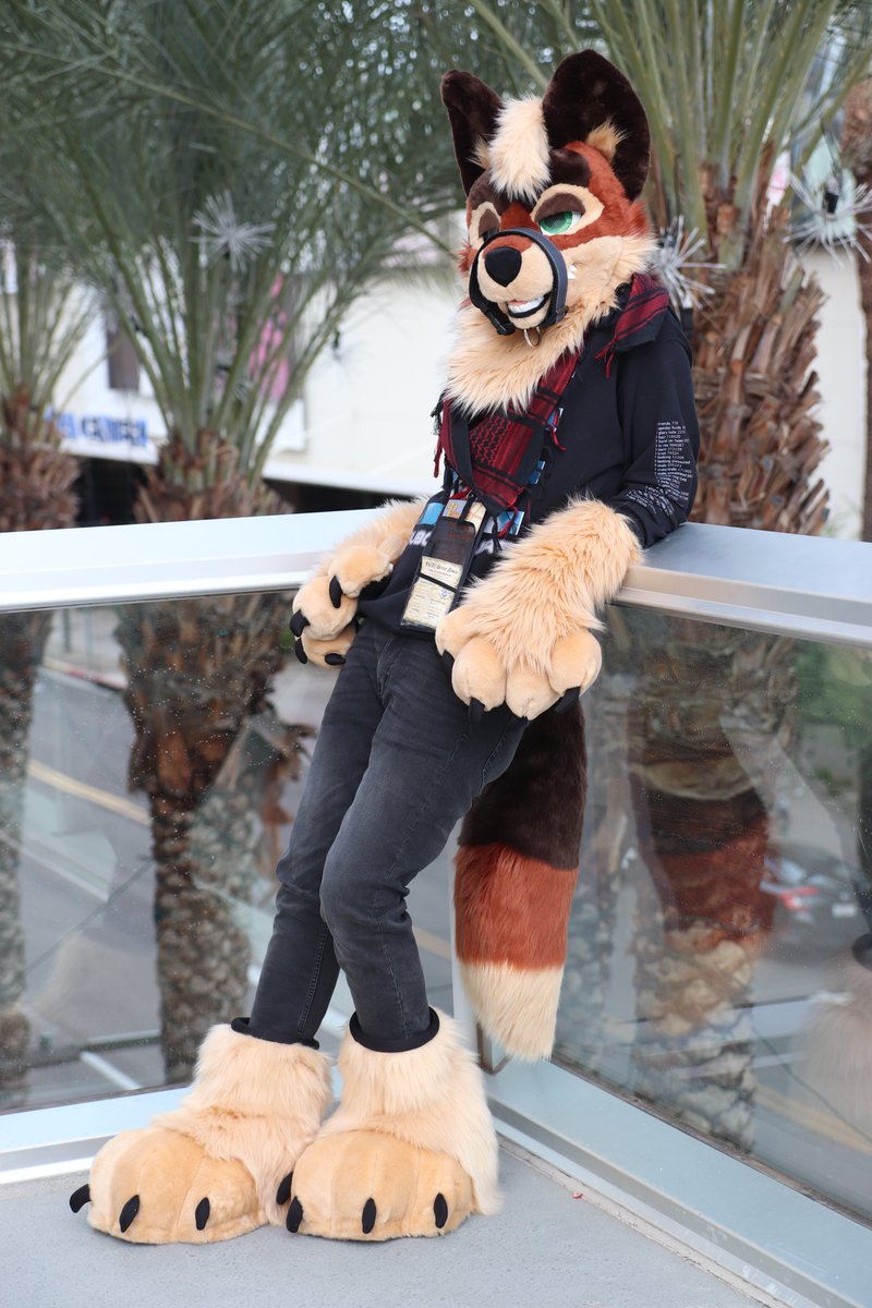 Hiro_Yuuy's tweet image. #pdfc2023 #PDFC