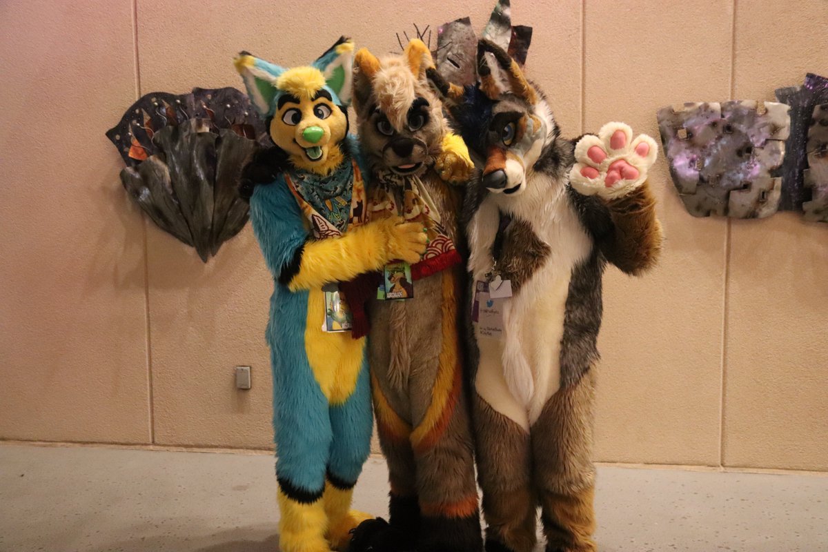 Hiro_Yuuy's tweet image. #pdfc2023 #PDFC