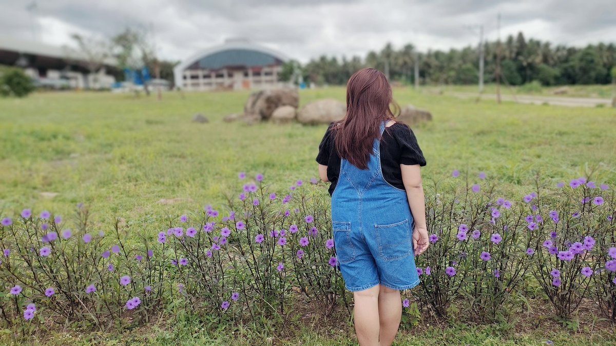 Fatalisss02's tweet photo. My kind of peace ♥️

Page 2/365 https://t.co/g6l0k85vAE