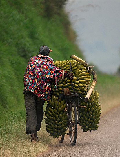 visionradio891's tweet photo. The VisionBase With @RoseBatunga91 Welcomes You To 2023 👏 👏
#IssueofTheDay:They Are Valuable Members Of This Community Let's Appreciate Them ,The Charcoal Seller ,FoodstuffVenders On The Roadside ,tomatoes, onions Mention Them
Goodmorning Team VisionBase #FeelGood https://t.co/XbuSgtoIwB