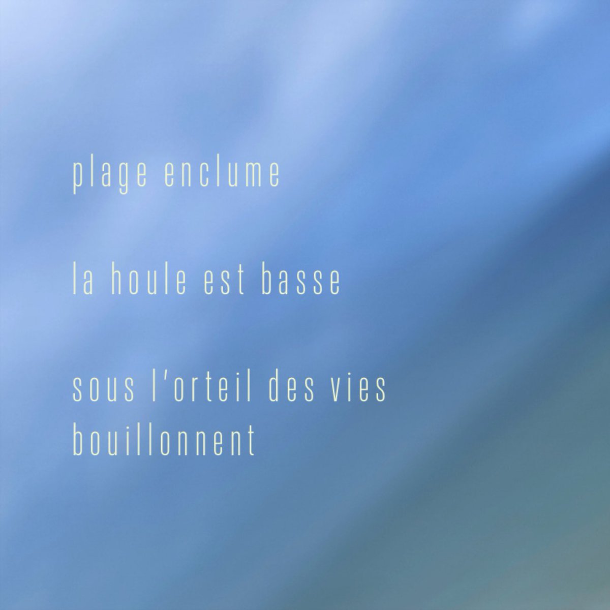 …

 plage enclume

 la houle est basse

 sous l’orteil des vies bouillonnent

…