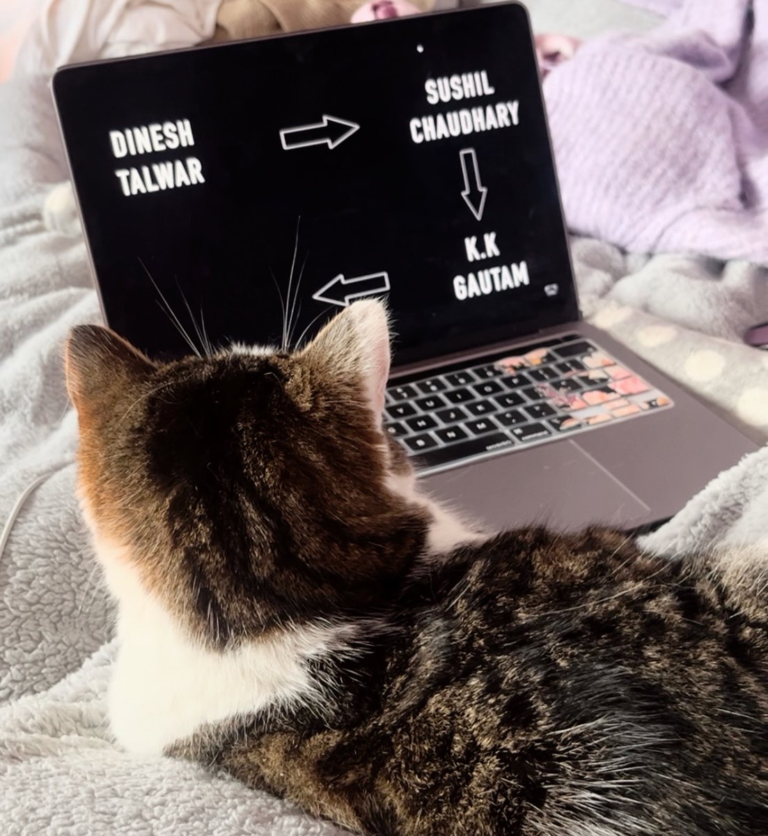 TrulyCriminal1's tweet photo. We appreciate ALL of our fans 🐾🖤
#cats #pets #comfy #truecrimedocumentary #truecrimecommunity #youtube #youtuber #crimedoc #truecrimedocu #youtubedocumentaries #youtubedocu #truecrimeheadlines #truecrimecontent https://t.co/mqiYxYxC3c