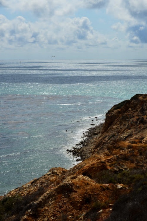 Archillect tweet media