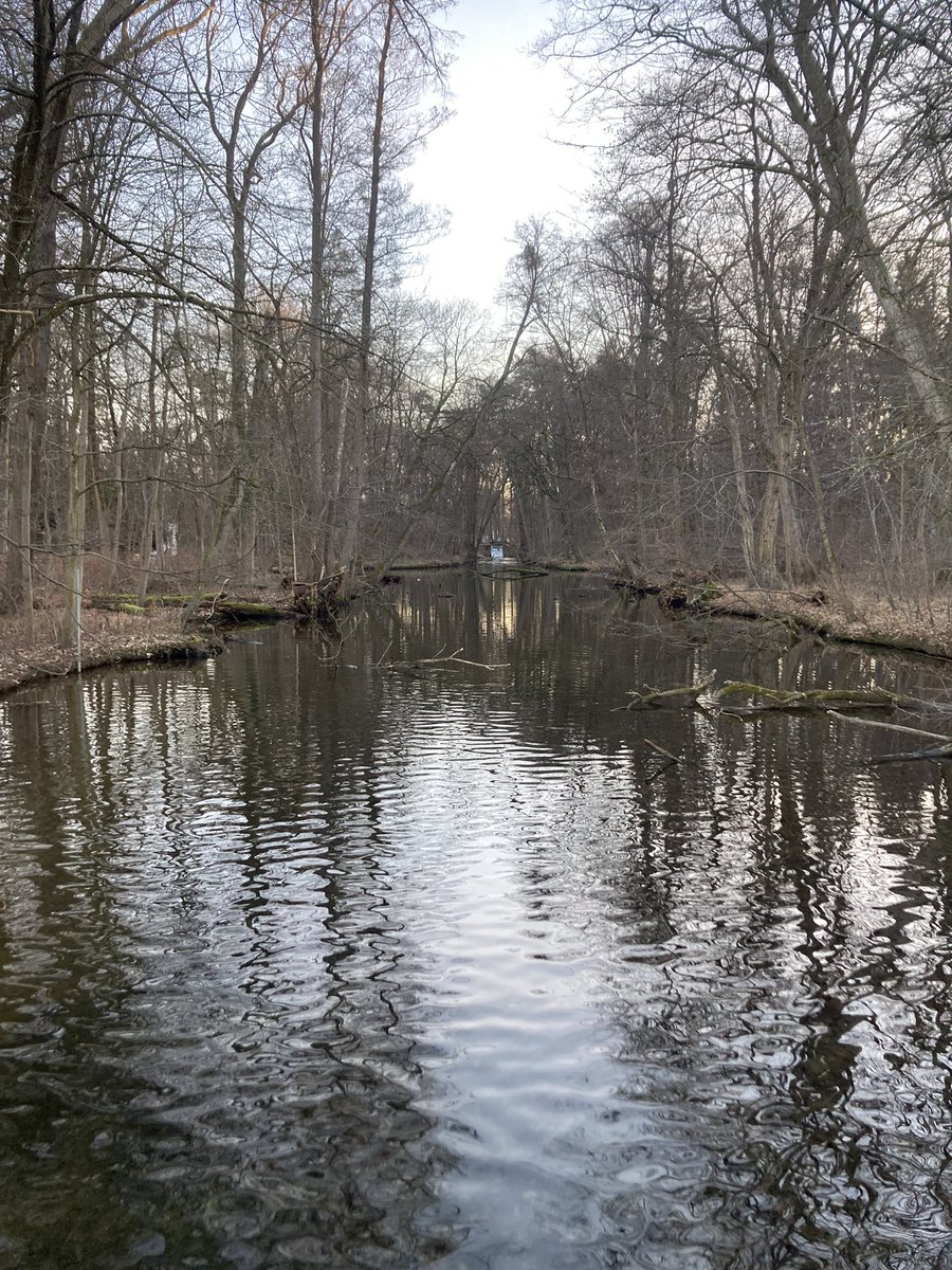OneBiologist's tweet photo. @Natures_Voice A little late, but from yesterday. Grey Heron and two mallards in the distance. https://t.co/DswSPPYJ1R