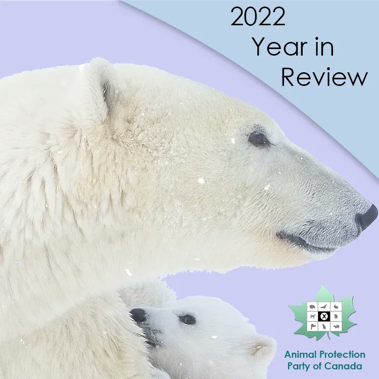 AnimalProtectCA's tweet photo. 2022 was an amazing year for the Animal Protection Party, read about all our work in our Year in Review blog below! We look forward to growing and helping more animals in 2023!
#cdnpoli #canada #animals #compassionatepolitics #animalpolitics #teamplanet 
https://t.co/bntq4BX3Rs https://t.co/IYW225kzw2