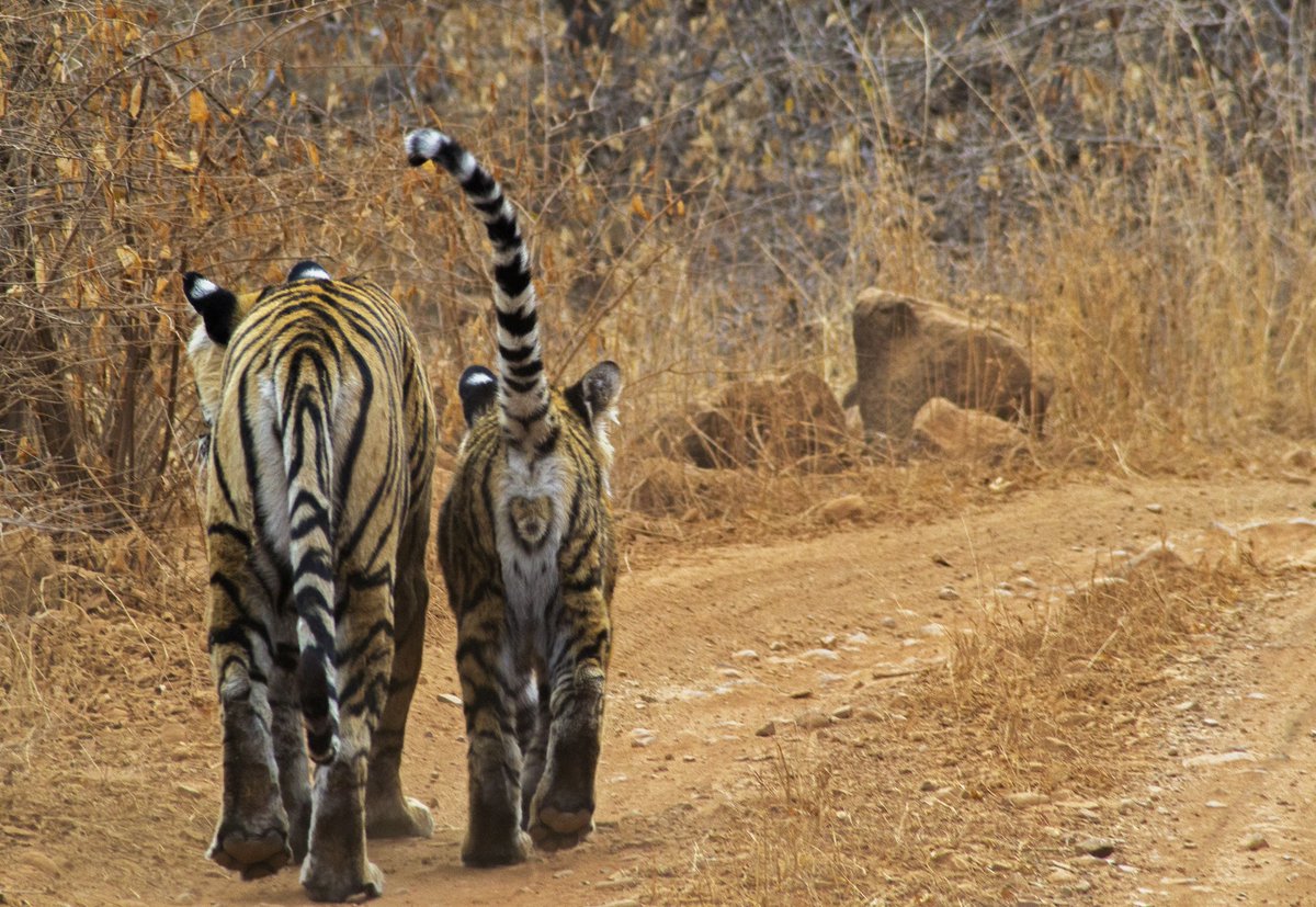 kaushalgpatel4's tweet image. Bye bye 2022