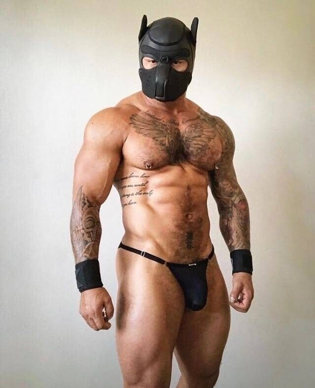 gay_porn_male's tweet photo. Muscle Doggie
To play or be Played?

#hunk #muscle #hunkbottom #musclebottom #domination #muscleslave #muscleboy #muscledaddy #submissive #BeautifulGayPornMale #leather #fetish #kink #bondage #sadomasochism #muscledog #pupplay #dogplay 
@gay_porn_male https://t.co/nfLNbdzii0