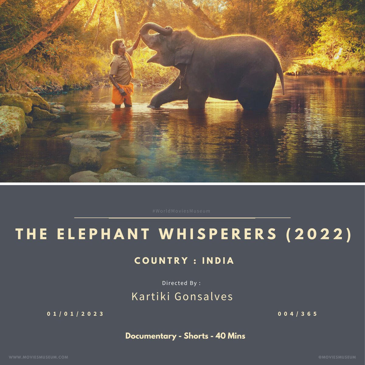 The Elephant Whisperers 2022 Directed by Kartiki Gonsalves
- Netflix 
#4

95th Oscar Awards Short Documentary - Shortlisted  

#MoviesMuseum #OscarShorts #Documentary  #Shortlisted #India #TheElephantWhisperers