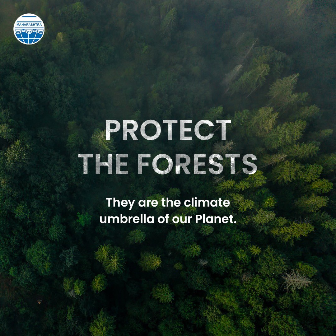 वनसंवर्धन ही आपली जबाबदारी आहे. आज जंगल टिकवून ठेवल्यास भविष्यात नैसर्गिक ऑक्सिजनची पातळी कमी होणार नाही. ऑक्सिजनची पातळी भविष्यात कमी होऊ नये यासाठी आपण सर्वांनी मिळून जंगल वाचवण्यासाठी  महाराष्ट्रात विविध उपक्रम राबवून वृक्षारोपण करण्याची गरज आहे. #ProtectTheForest