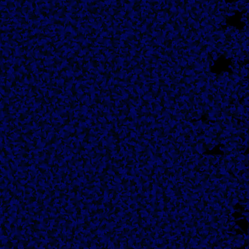 NFTMeld's tweet photo. #BlueChipNFT LZ OMNI-CHAIN 
Was the first Gen-Art Project on LZ

Blackout pieces are Rare

https://t.co/1hCGbKVrnd

#omnichain #multichain #layerzero
#NFTshill #NFTCommmunity #NFTGiveaway #NFTProject #NFTCollection #NFTs #FreeNFT #FreeNFTs #KanpaiPandas #NFT https://t.co/oU6iiSzkDv
