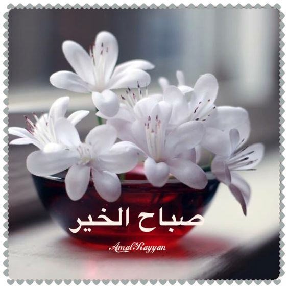 asylalshmry17's tweet photo. الحياة قد تتعثر لكنها لا تتوقف
والأمل قد يضعف لكنه لا يموت
والفرص قد تضيع لكنها لا تنتهي
مهما ضاقت الدنيا عليك ففرج الله قريب قريب.
#صباح_الخير https://t.co/ahevPSan7Y