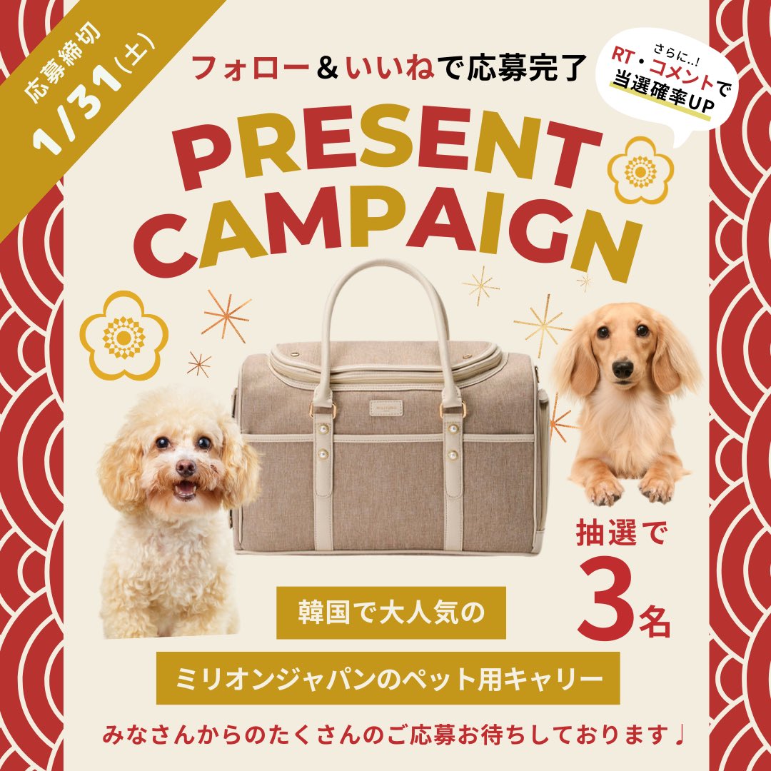 flaffy_me's tweet photo. ＼フォロー＆いいねで応募完了🎁🐾／

この度、フォロワーのみなさまへの感謝の気持ちを伝えるため、新春プレゼント企画を実施します🐶♥

今回のプレゼントは、
韓国初！ミリオンジャパンのペット用キャリー👜🐾

@flaffy_meをフォローの上、この投稿にいいねで応募完了
※RT、コメントで当選確率UP✨ https://t.co/78lK1Cp3wX
