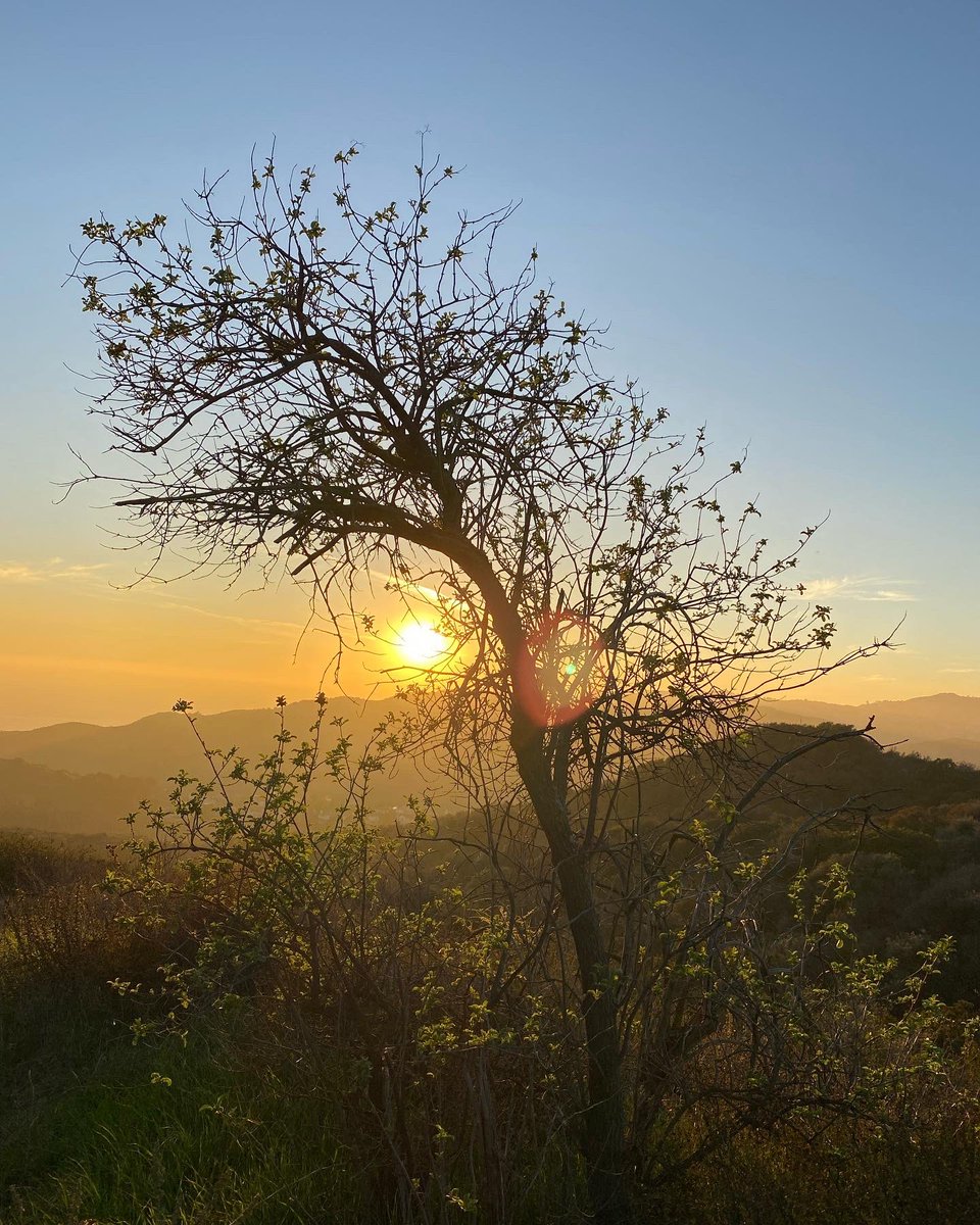 AHSmaine's tweet photo. A chapter closed, another one just started. There’s still time to achieve, to make amends, 2let go, 2embrace. There’s still time 2build, 2improve, 2listen, understand &amp; share.
No matter our goals, my hope is for 2023 to bring us ever closer 2kindness, generosity, and humanity. https://t.co/IDy9OuZIpc