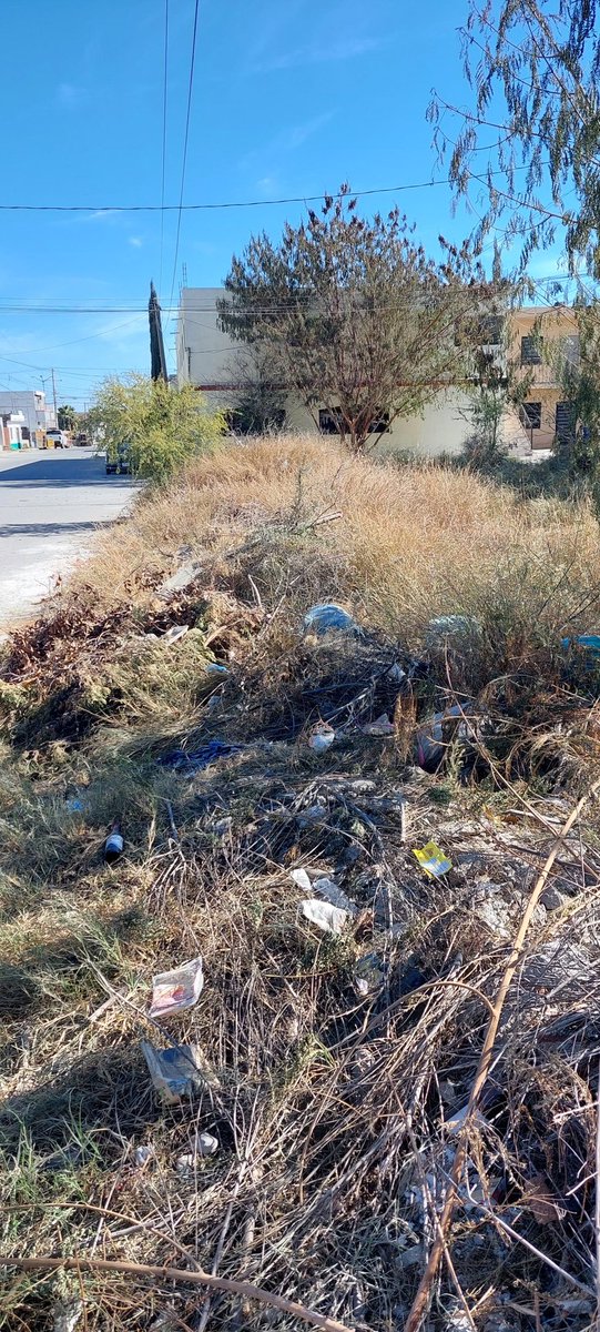 cyazb3k's tweet photo. En la colonia Leandro Valle hay este terreno que es un foco de infección grande, van y tiran animales muertos , escombro y hay muchas ratas!
Es en el Cruze de  José Ortiz y Hermenegildo Galeana!  Ya se reporto a municipio y no hay respuesta! Ayuda! @Doc_MarioDavila https://t.co/OEgth36Zx1