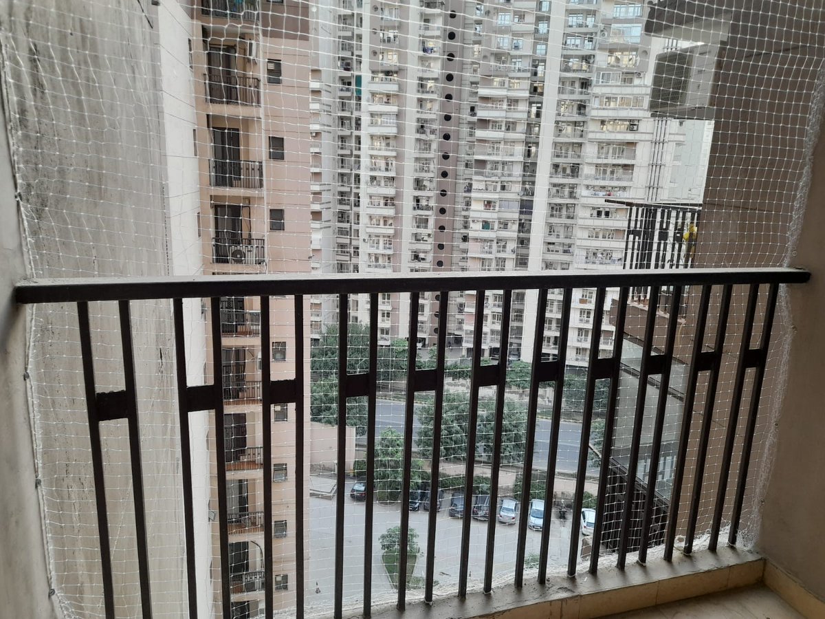 OfficeAVGlobal's tweet image. Heavy duty and attractive bird net for balconies, windows and ledges to stop birds entry and making building areas dirty.
Contact 088002 24323
#antibirdnet
#birdnetinstallation
#birdnet
#pigeonnet
#birdnetting
Visit our website to know price and contact details.