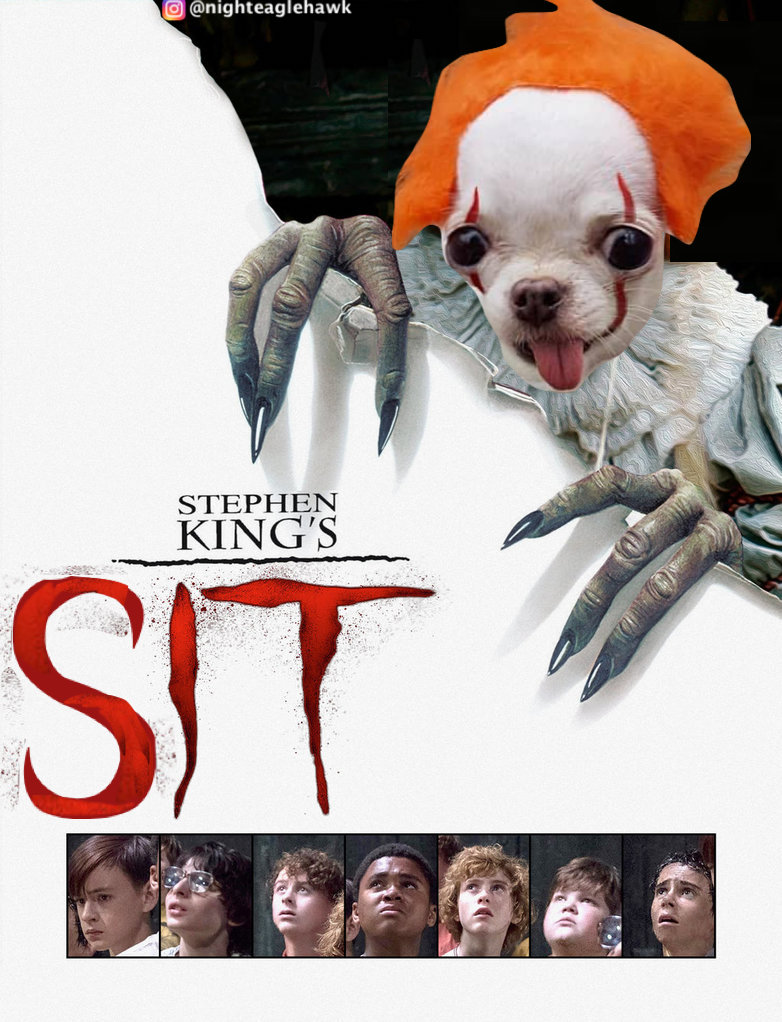 Bad dog! #clown #itmovie #itchapter #pennywise  #stephenking #doggy #dog #horror #memes #meme #movies #halloween #finnwolfhard #jaedenmartell #billskarsgard #jackdylangrazer #wyattoleff #jeremyraytaylor #chosenjacobs #doglife #doglover #instadog #clowndog #pets #animals #sit