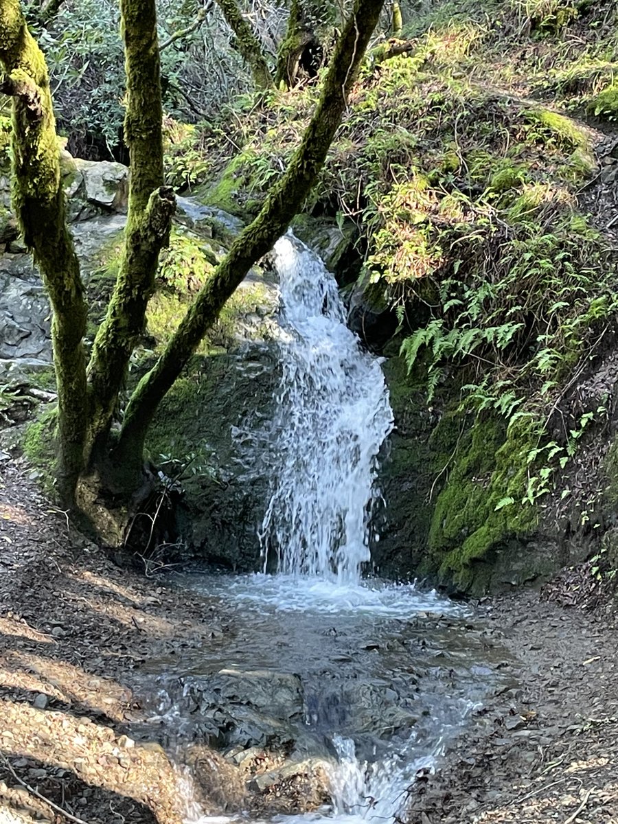 Crewylou's tweet photo. Obligatory New Year’s Day hike
#PhoenixLake https://t.co/bQETuR1SjQ