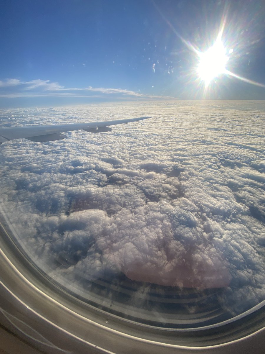 LuisArturoNews's tweet image. 1/365 #resolutions2023 🙏