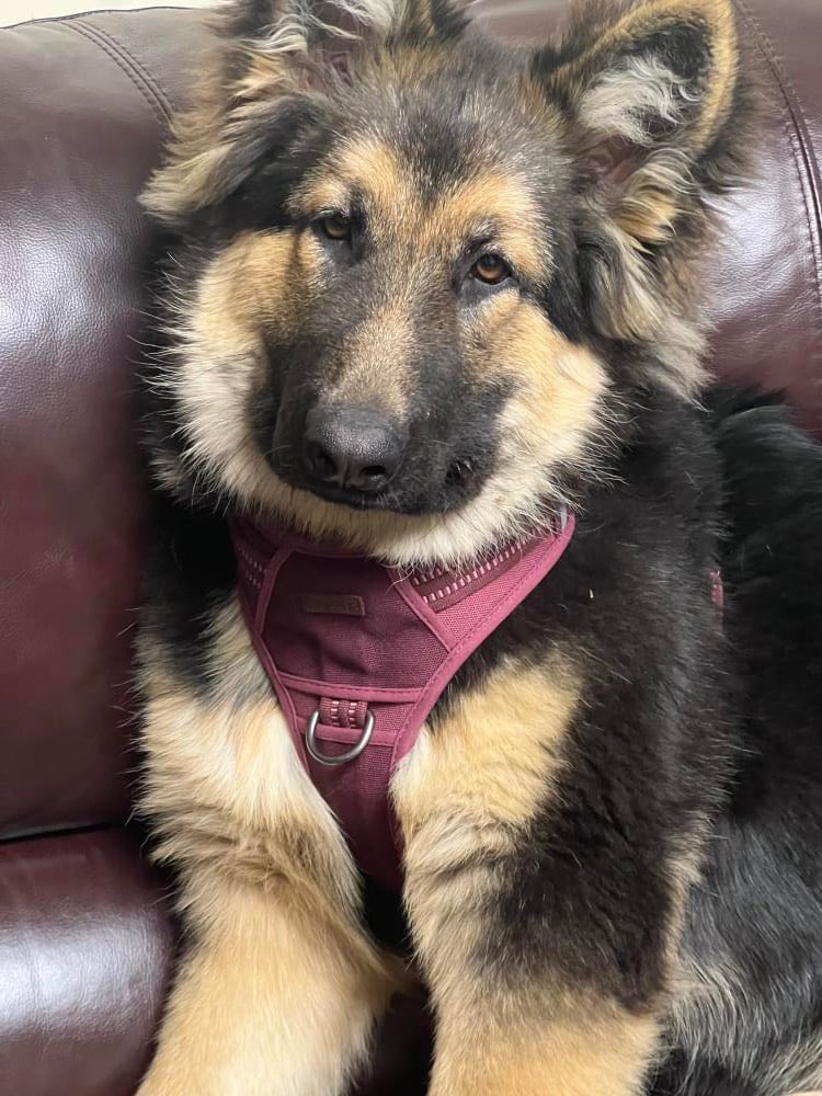 Keith Olbermann tweet media