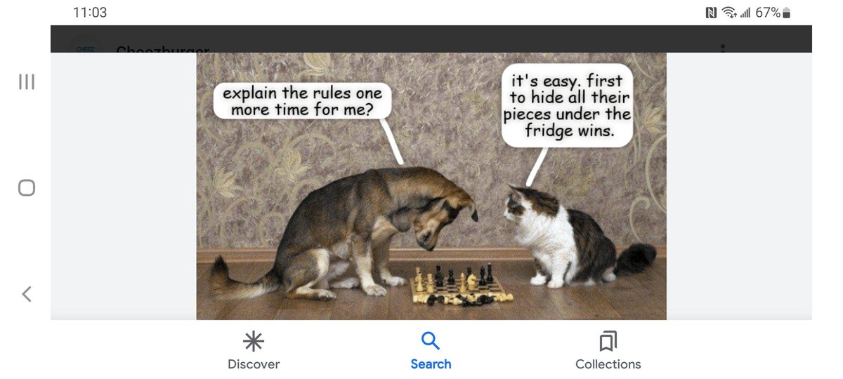 edman99927534's tweet photo. The game plan has been deviced. Cats have the smarts. Come find out what the #RedCatMultiverse plan is for 2023 and beyond #theredcats #NFTCommunity #nft #NFTMint https://t.co/LRwN6b3hWt