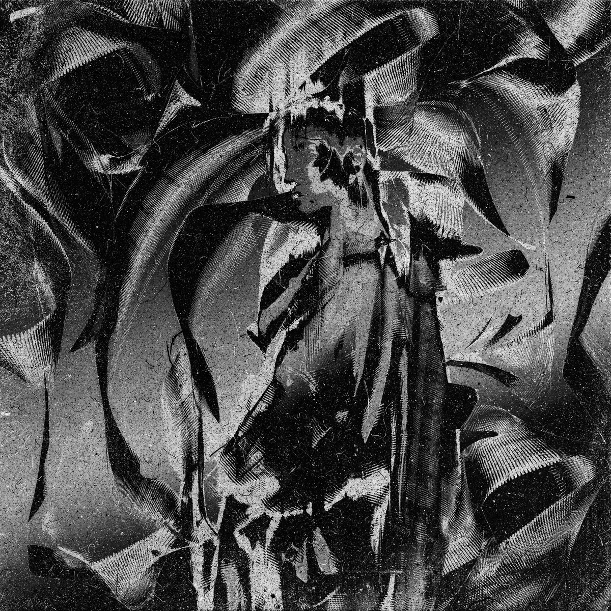 cielmot.eth 🚬 tweet media