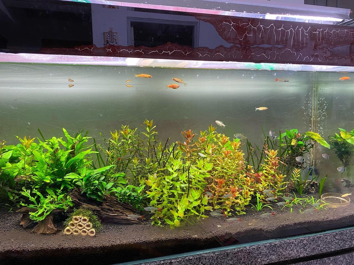 江岳樺 (@andyshenzz) on Twitter photo 