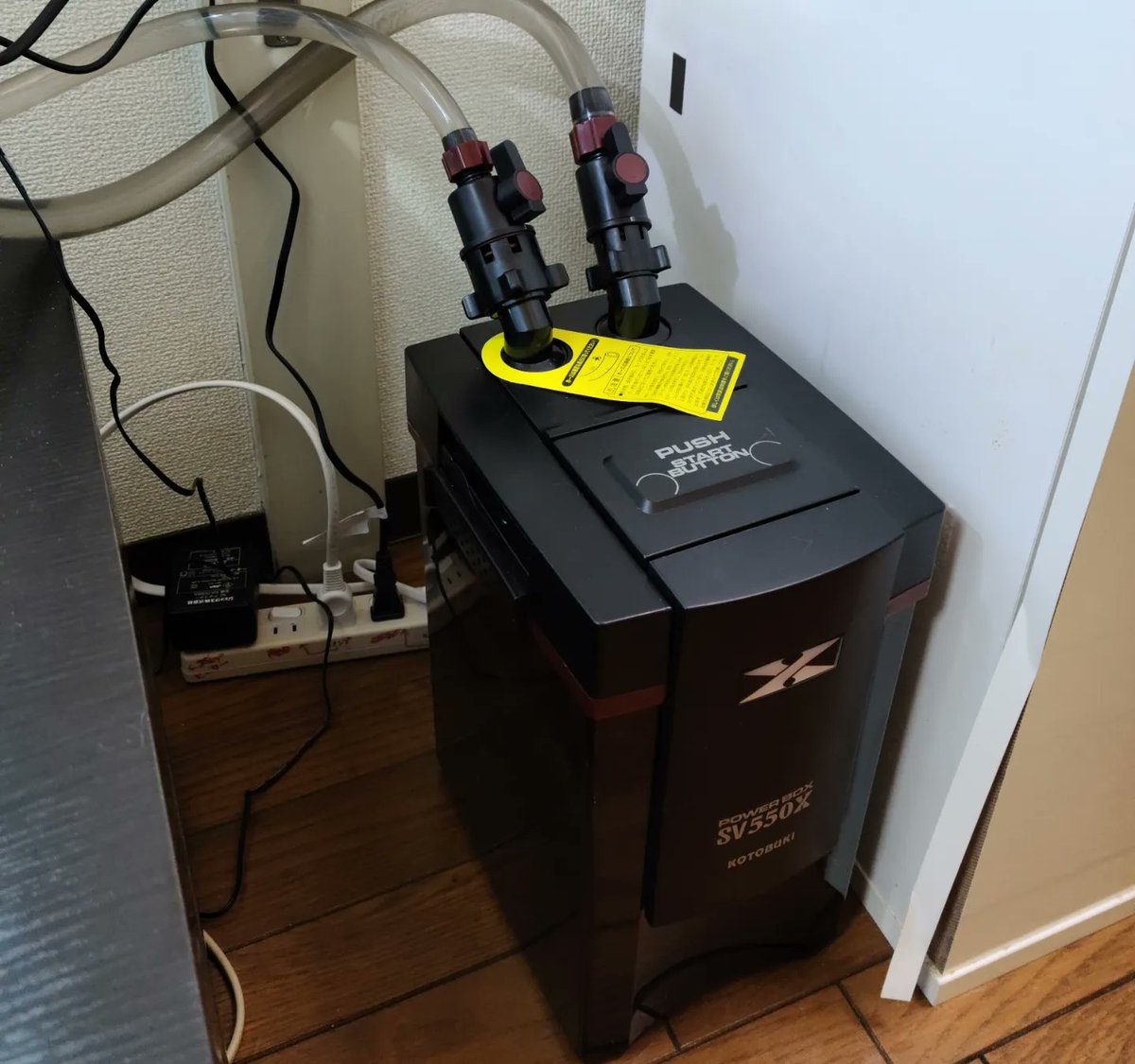 Kingyo_BENI's tweet image. 外部フィルター買ってみました✨
 #kotobuki
 #POWERBOX
 #SV550X