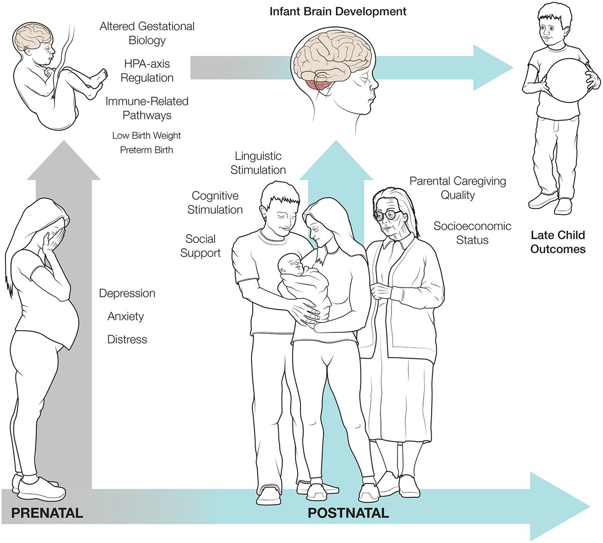 Saara Nolvi tweet media