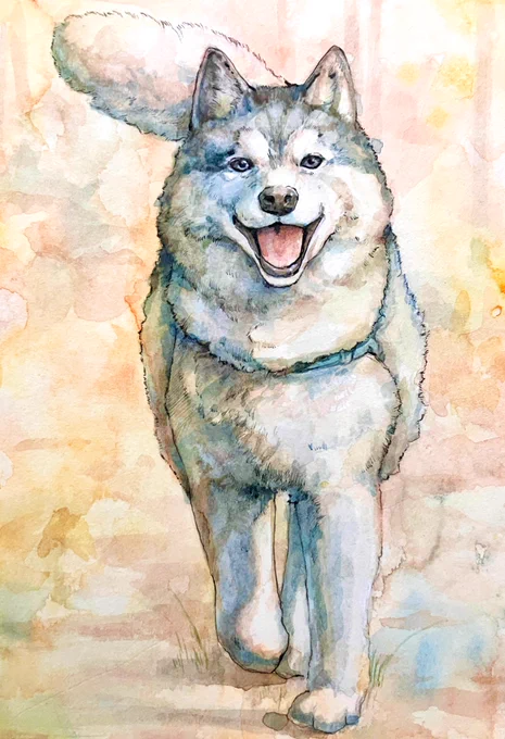 1日目|さんぽ犬  #100日チャレンジ 