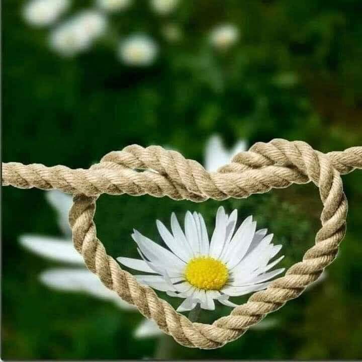 صباحو 💜
أٌصبحَنَا وأَصبَحَ الملْك لله..
أفاض الله على قلوبكم نورالرضوان وحلاوة الإيمان، وذكر الرحمن..
صباح يرزقكم الله فيه كل خير ويبعد عنكم كل شر.