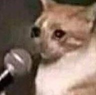 studynrt's tweet image. todo o planejamento do começo dos estudos pra essa semana foi pro ralo pq meu pai resolveu viajar do nada