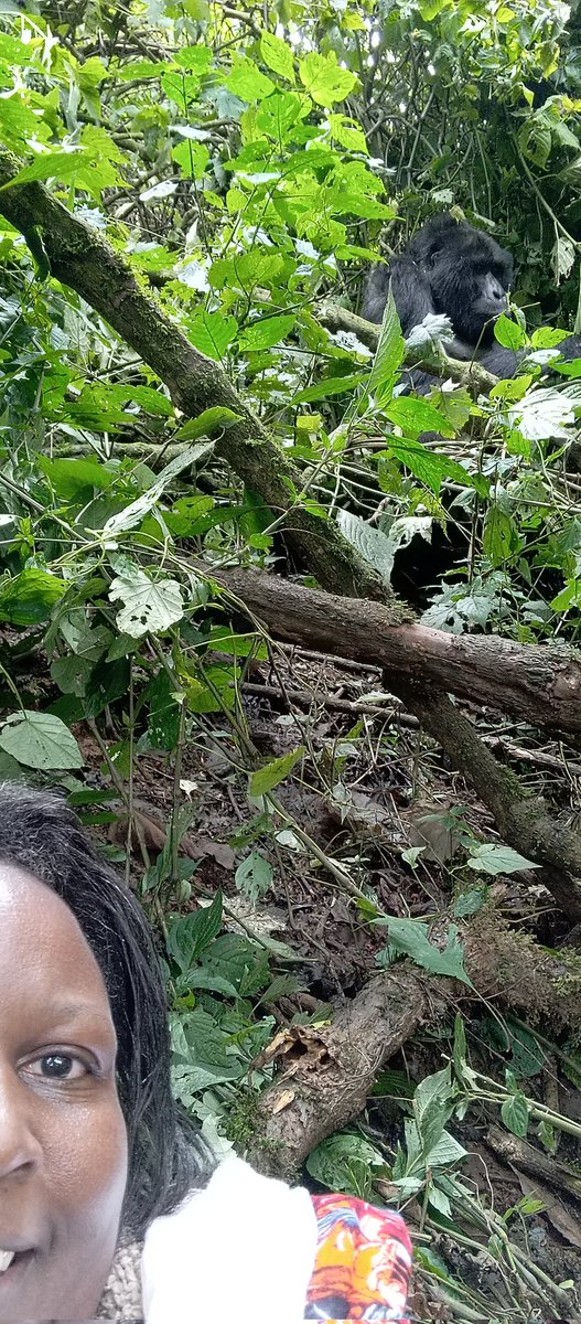 Naome N.Wandera🇺🇬 tweet media