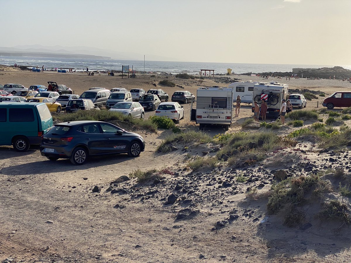 Día 1 del 23. Las playas no son un parking. Necesitamos  gestión ambiental en El Cotillo @CabildoFTV plantas machacadas y #papeldewater. Zarapitos con estrés +#guardianesdenaturaleza #decrecimiento @TurismoGobCan ¡ya! #SinBiodiversidadNoHayVida @acbc @EcologicaGobCan @mitecogob