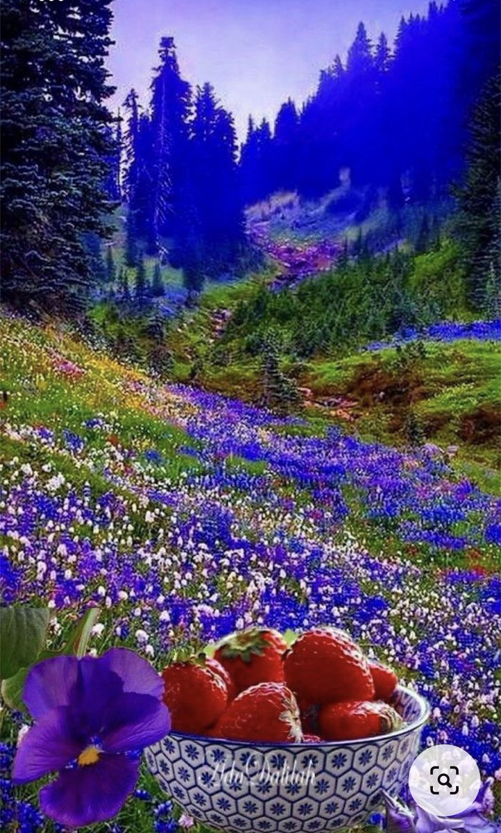 AlnazhaYousef's tweet photo. *متكئين* : دلالة على الطمأنينة والرفاهية ..

*متقابلين* : دلالة على الأنس بالأصحاب والأحبة ..

كثيراً ما يصف الله أهل الجنة بهاتين الصفتين ..

*اللهم اجمعنا في الجنة متكئين متقابلين* 🤲 https://t.co/6B5jKVuont
