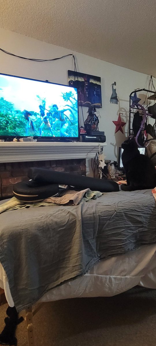upthewazu's tweet photo. Best watch out @JimCameron my cat is coming for your job to make the next best film @officialavatar https://t.co/MrrZvcSRF0