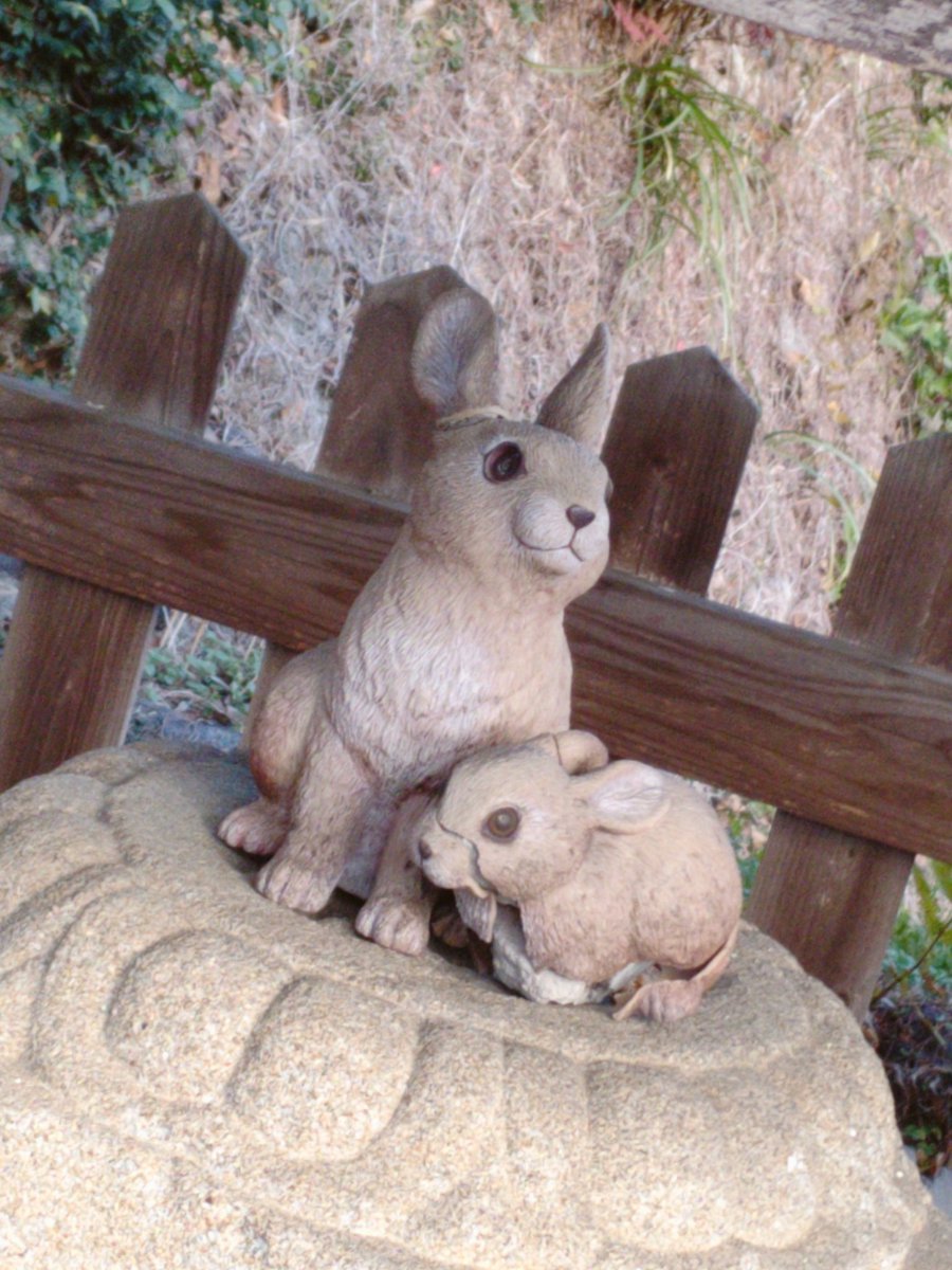 Jinny_card's tweet photo. 今年はうさぎ年ということで珍しい狛兎のある神社にお参りしてきました🐰⛩️🐰
本年もよろしくお願い申し上げます https://t.co/EpIDh5VxFS