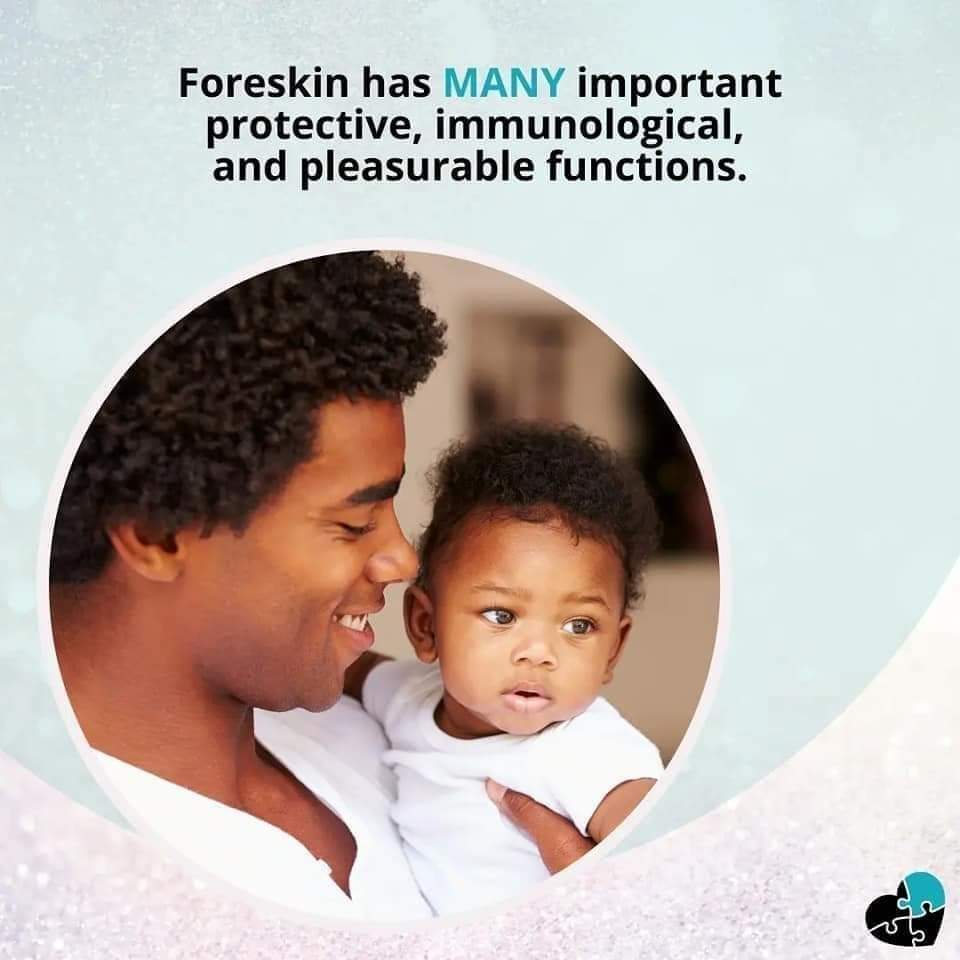 💙 Foreskin has MANY important protective, immunological, and pleasurable functions.

(5/6) #Foreskin #ForeskinFunctions #FunctionsOfTheForeskin #Protection #ImmuneFunction #Pleasure #Pleasurable #Important