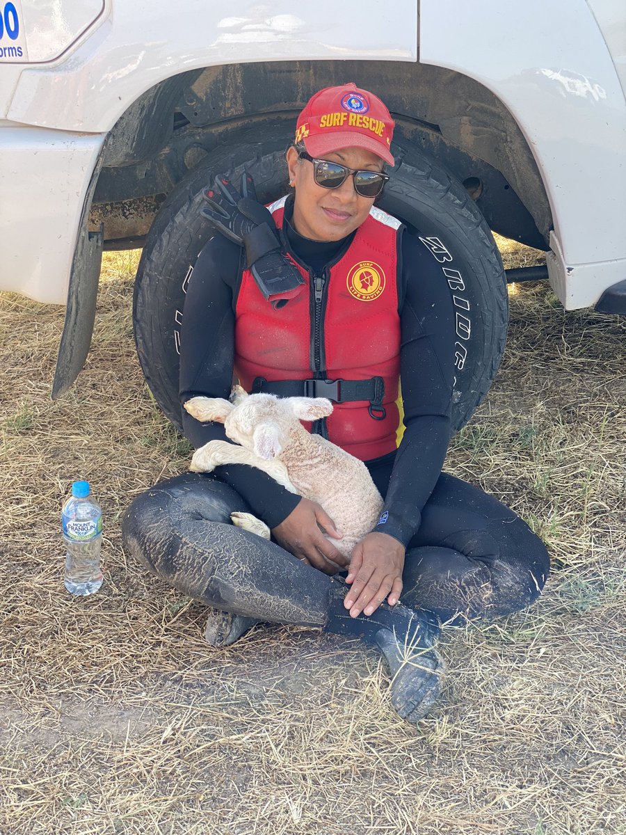 A surf life saving member taking five after saving this lamb from flooding in Menindee 😌 @ABCemergency #nswfloods